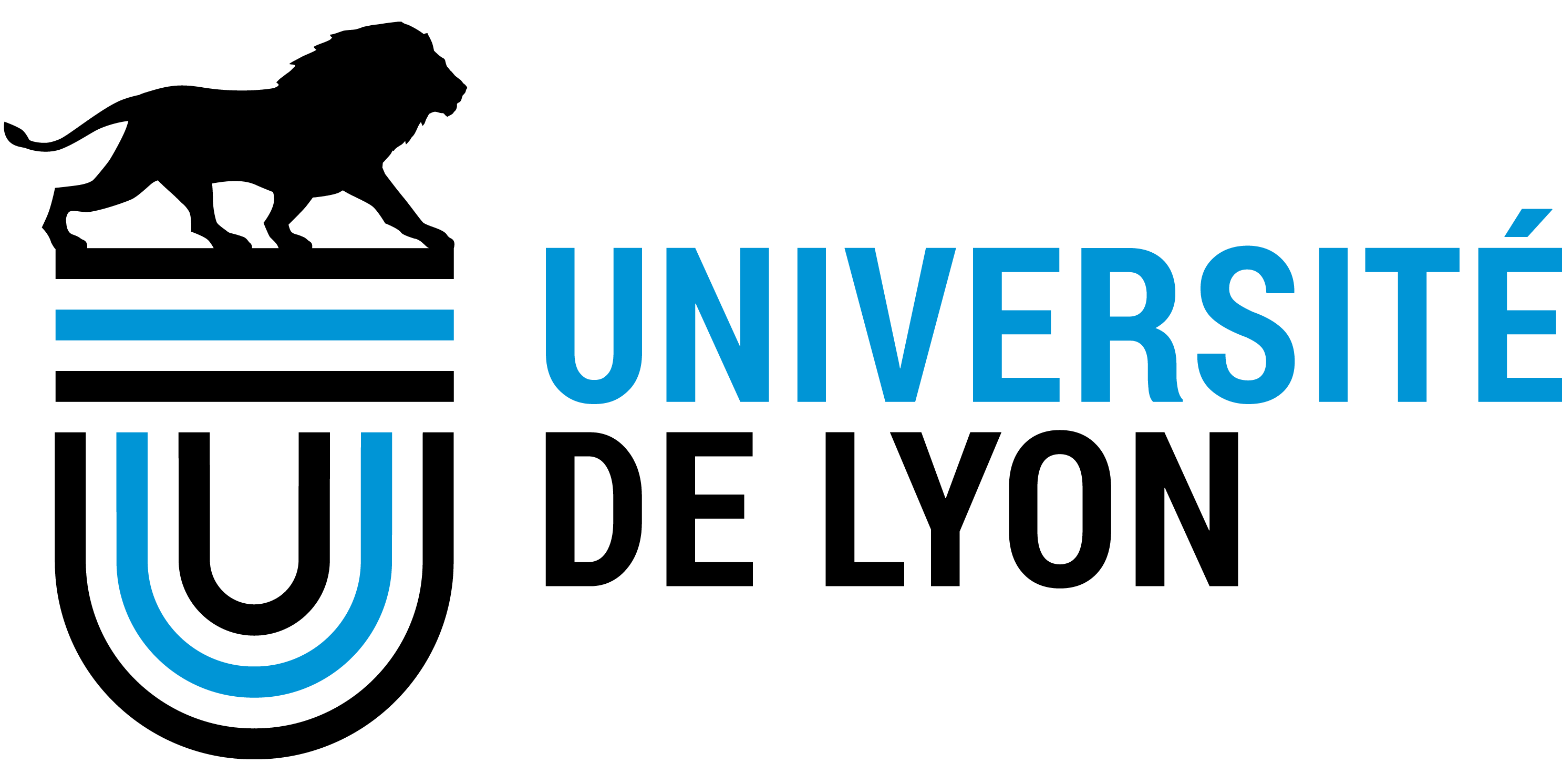 Logo_Université_de_Lyon.png